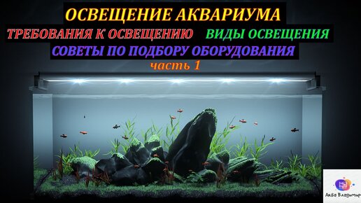 Какие удобрения нужны аквариумным растениям?