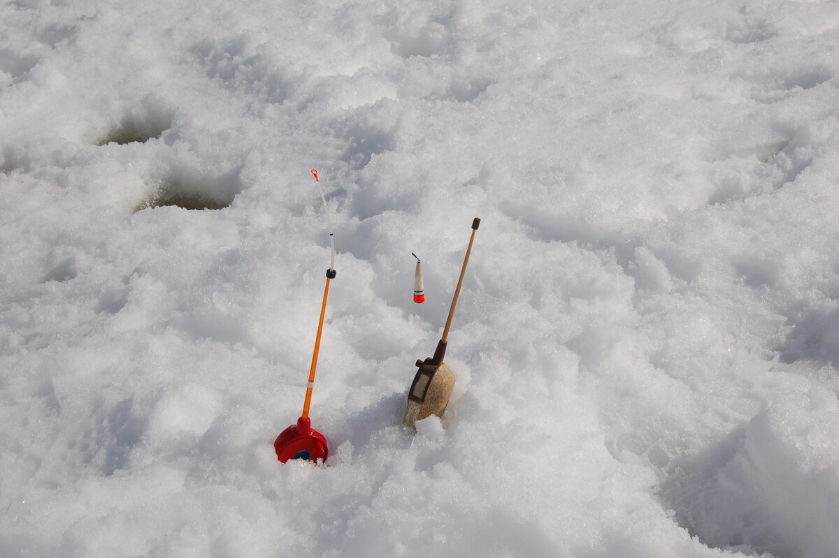     Фото: Яншевского Андрея.