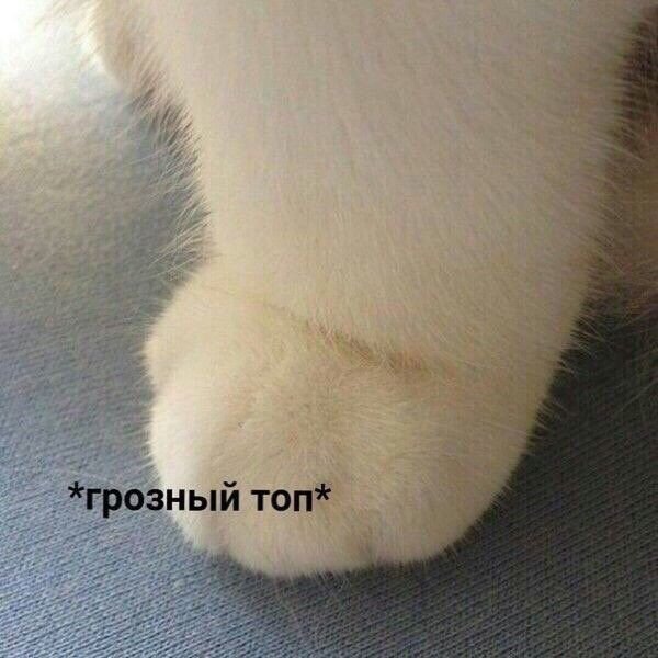 https://www.pinterest.com/pin/670684569497990226/ фото отсюда