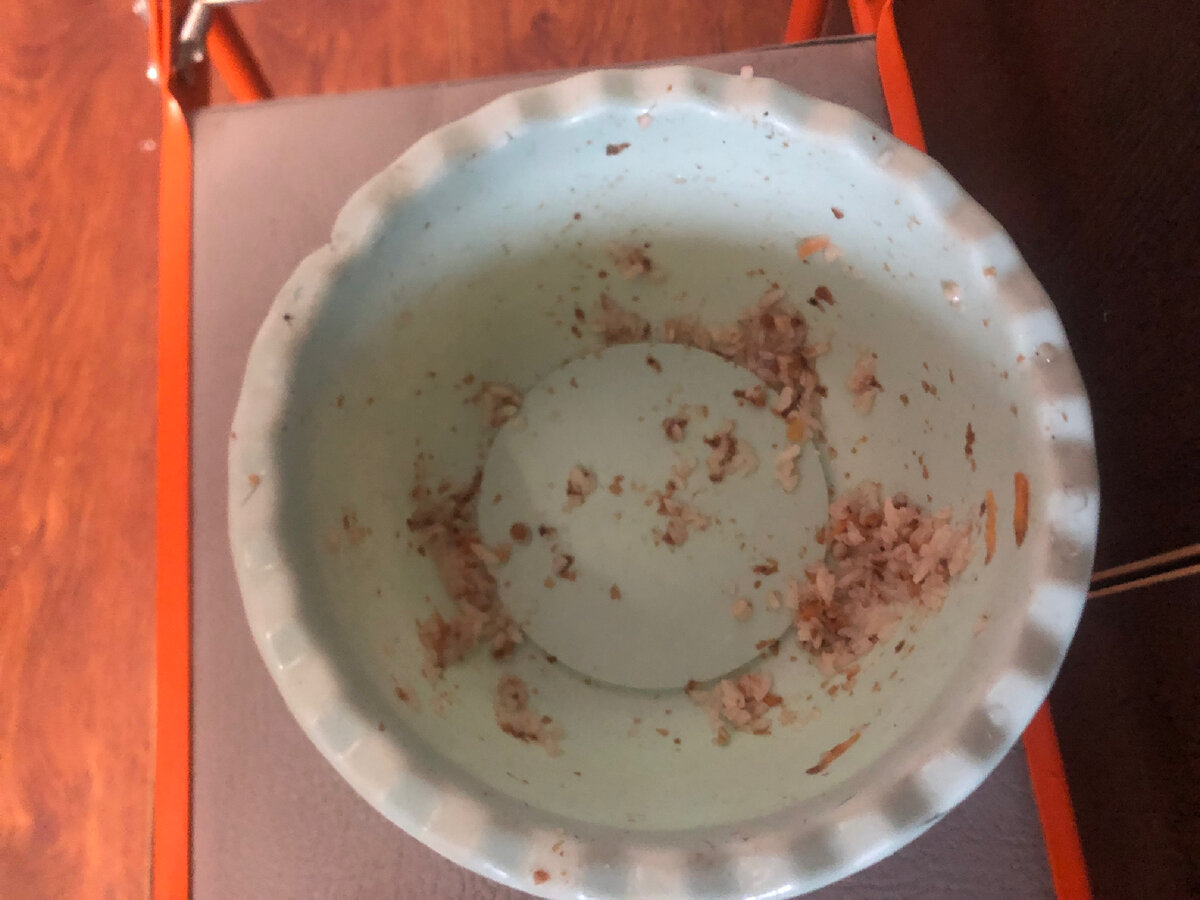 Кто-то скажет: "Мне бы ваши заботы..." Возможно, он будет прав. Но мы всем сердцем привязались к нашей Джуди и боимся ее потерять. Фото автора.