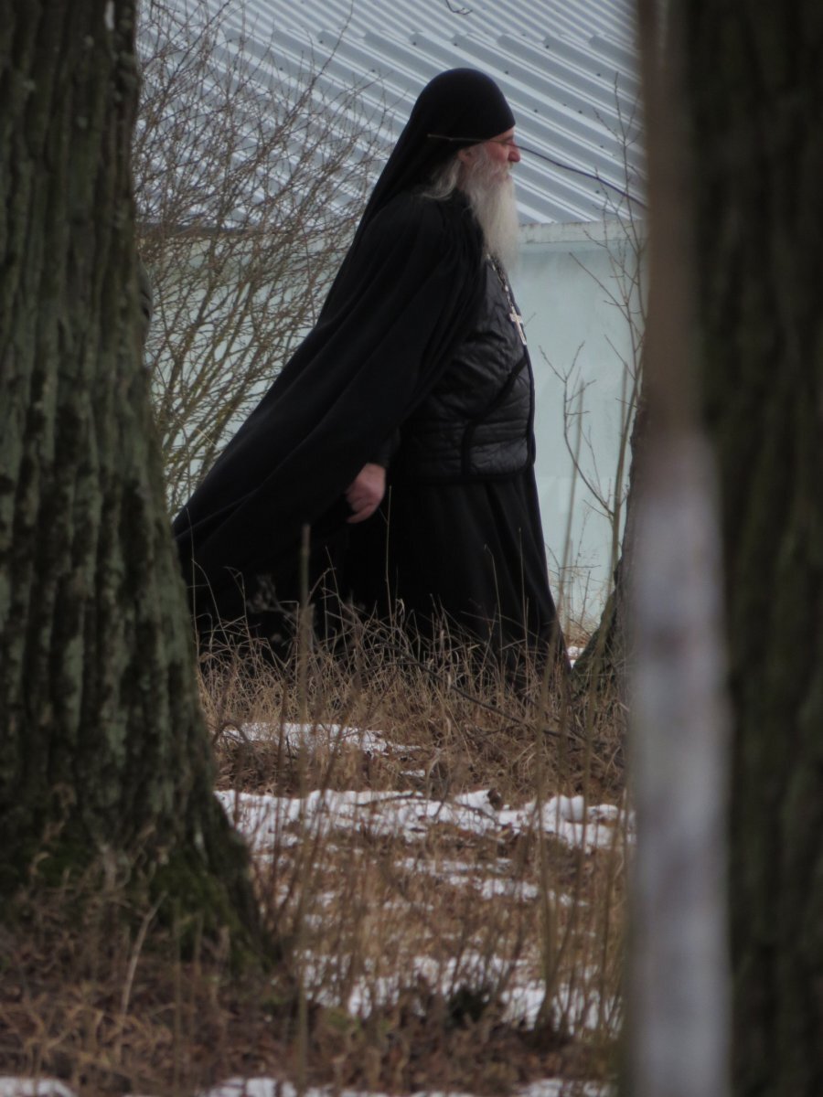 фото из открытого доступного источника сети интернет