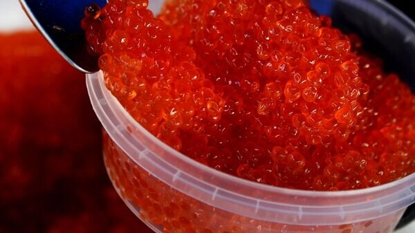    © Sputnik / Виталий Аньков