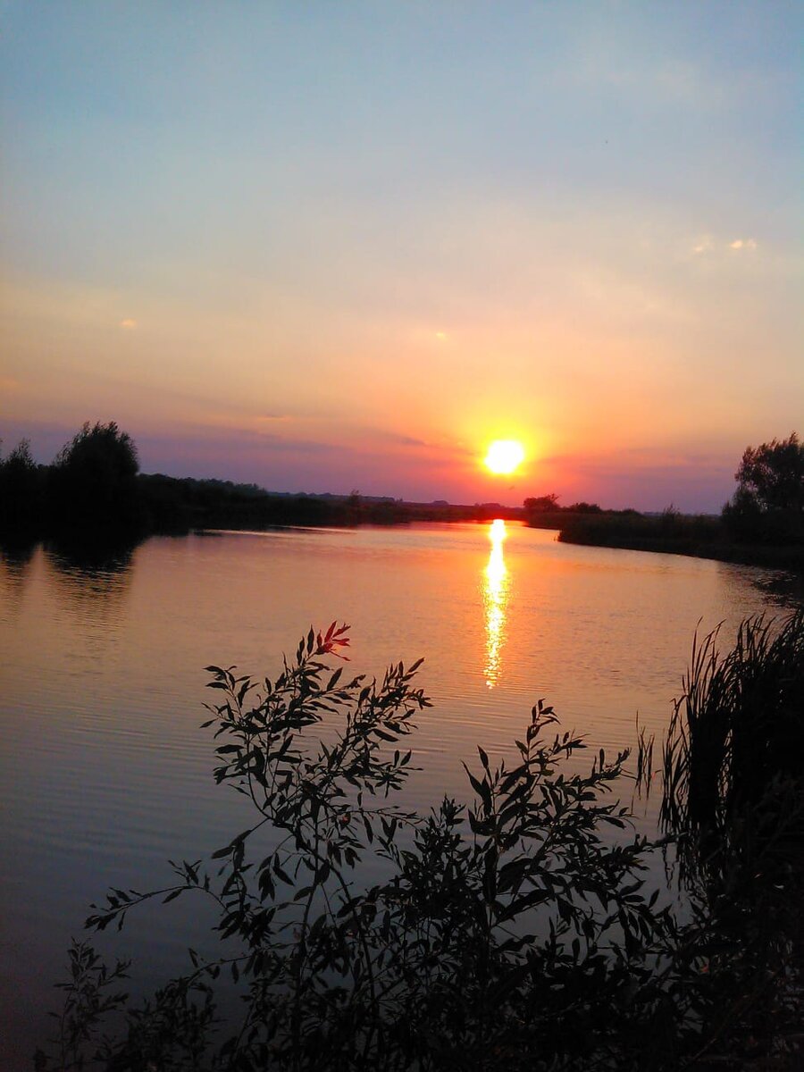 Рюмин пруд, с. Соловые, фото из моего архива