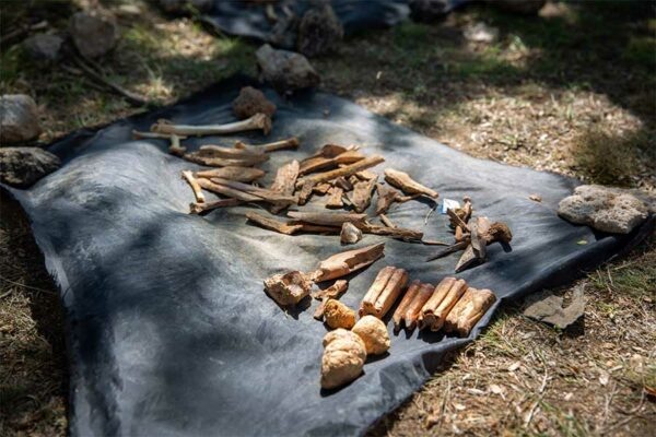    Фото: пресс-служба КФУ имени Вернадского