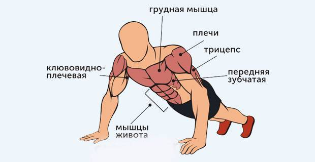 Источник фотографии: Яндекс картинки