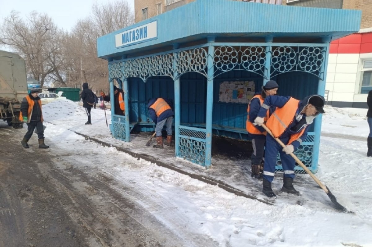 Администрация Оренбурга не смогла найти подрядчика для установки остановок  | АиФ–Оренбург | Дзен