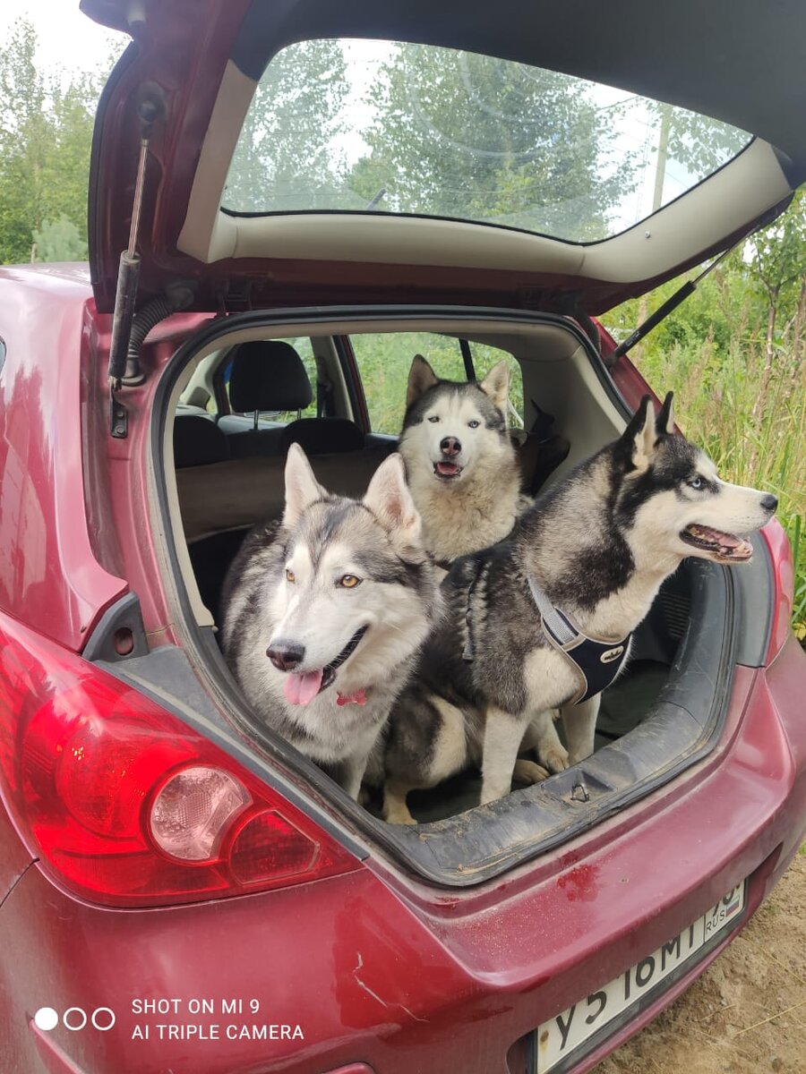 Викки, Тимоша, Аксель. 