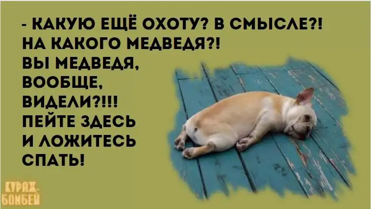 Юмор в картинках: своё дело, кубики на прессе и охота на медведя