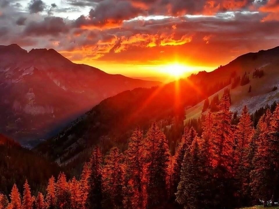 С просторов интернета 