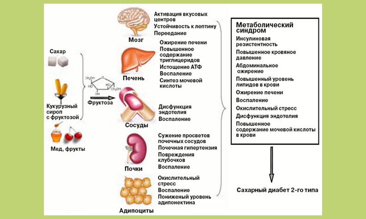 Фруктоза при правильном питании