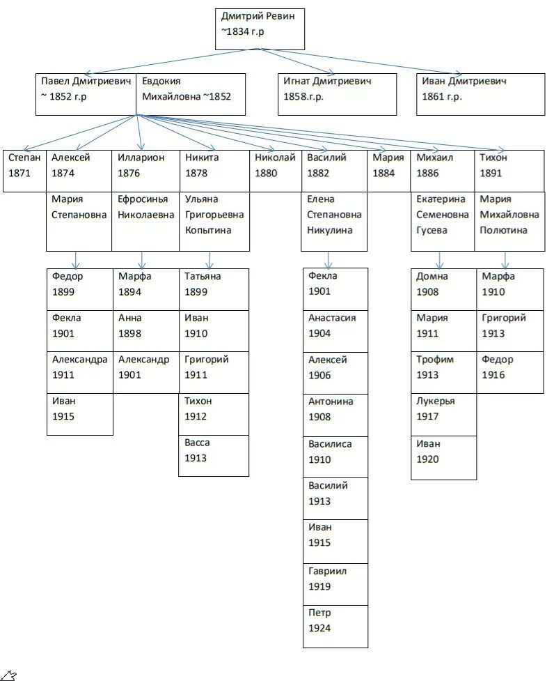 Древо Павла Дмитриевича Ревина