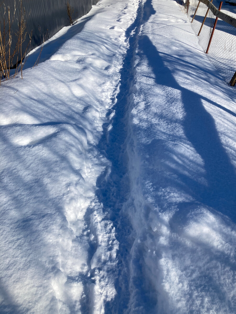 Смотрите, какие красивые мартовские тени! И прекрасные сугробы сантиметров 40 высотой