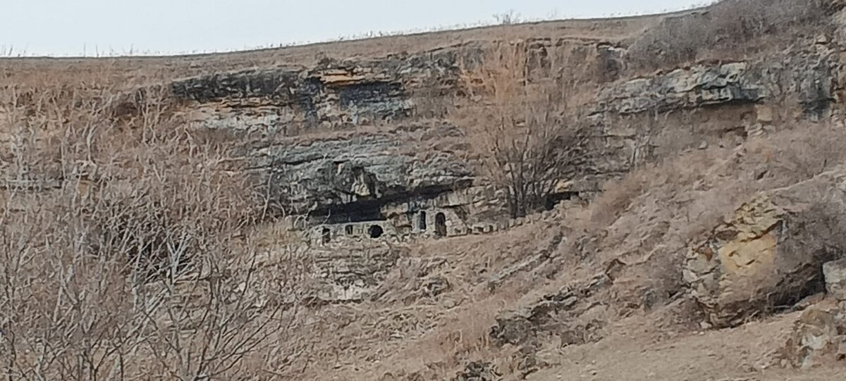 Фото Ларисы Малковой