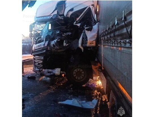     Фото: МЧС по Калужской области