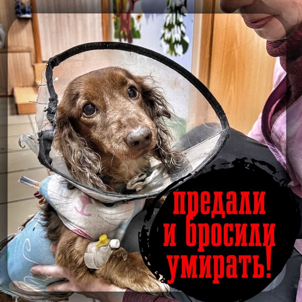 Чарли нужна операция