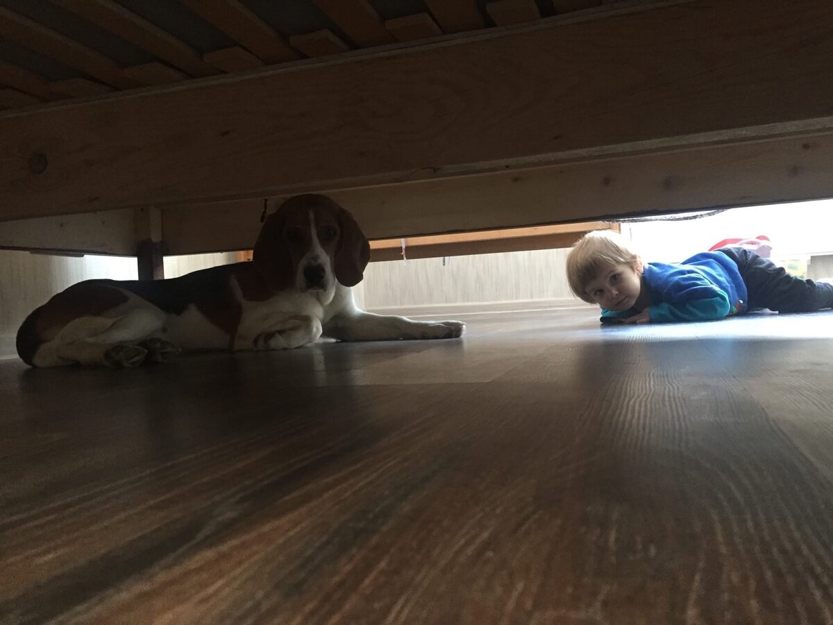 Кто живет под кроватью?