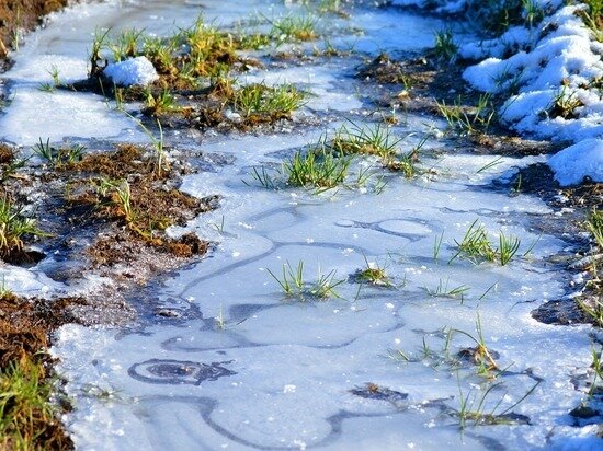     Фото: pixabay.com