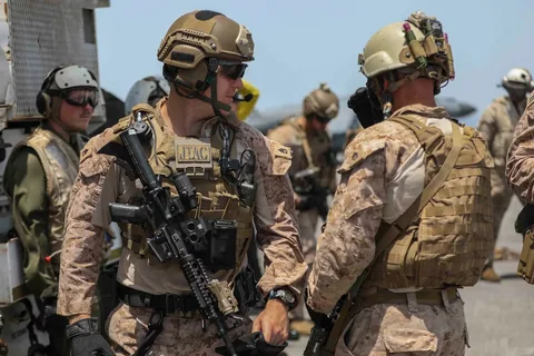 Взято из общего доступа.