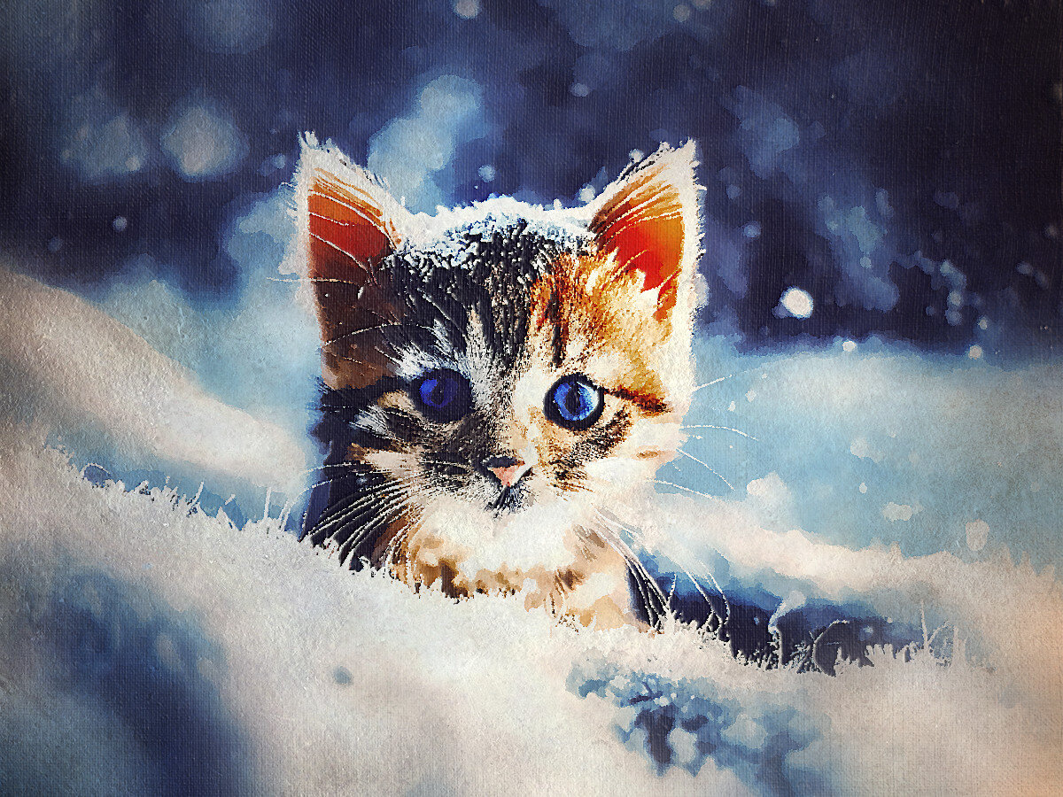 Для иллюстрации использована обработанная фотография с бесплатного фотостока pixabay.com