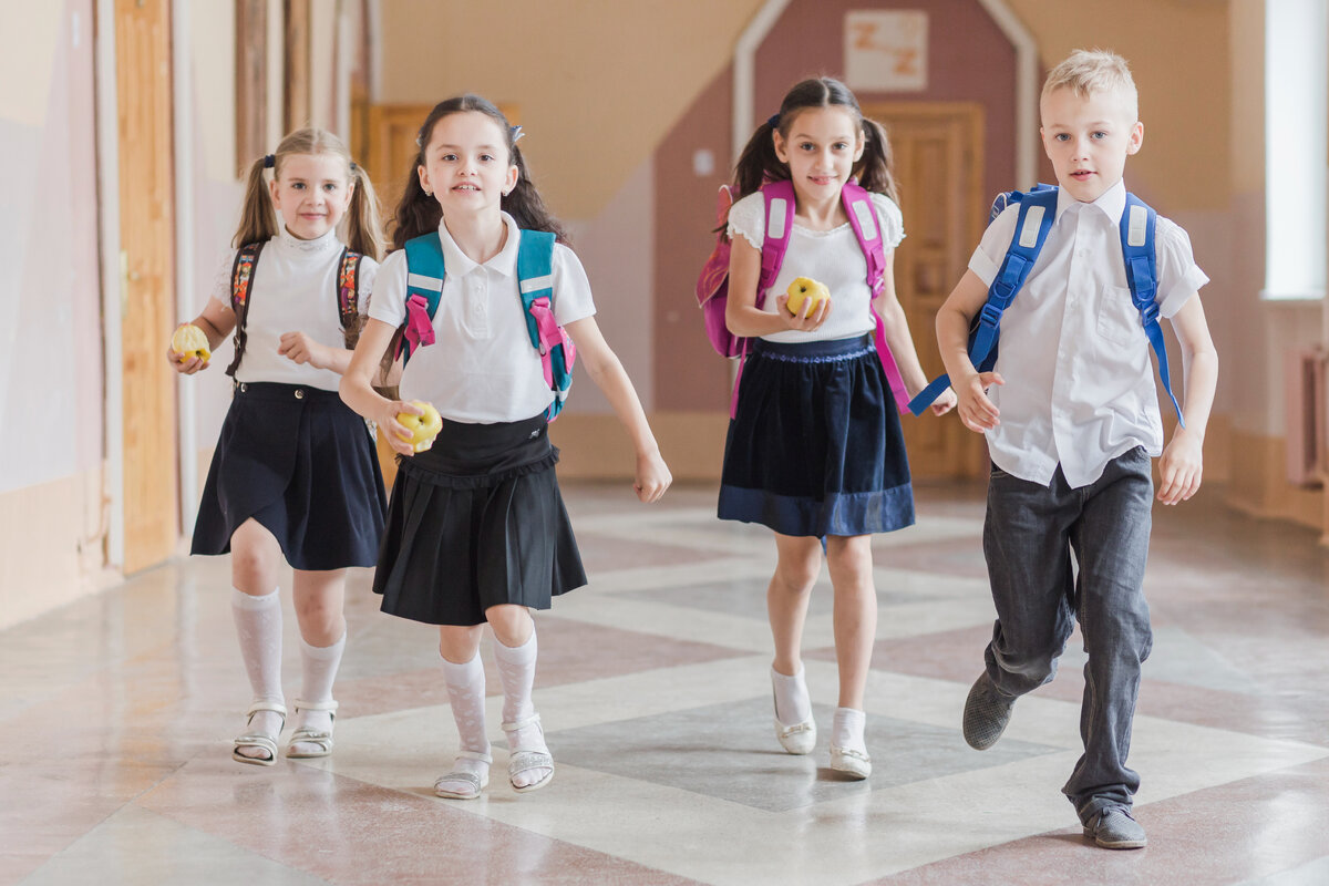 Изображение от <a href="https://ru.freepik.com/free-photo/pupils-running-on-school-hallway_2555129.htm#query=%D1%88%D0%BA%D0%BE%D0%BB%D0%B0&position=45&from_view=search&track=sph">Freepik</a>Что такое школа?