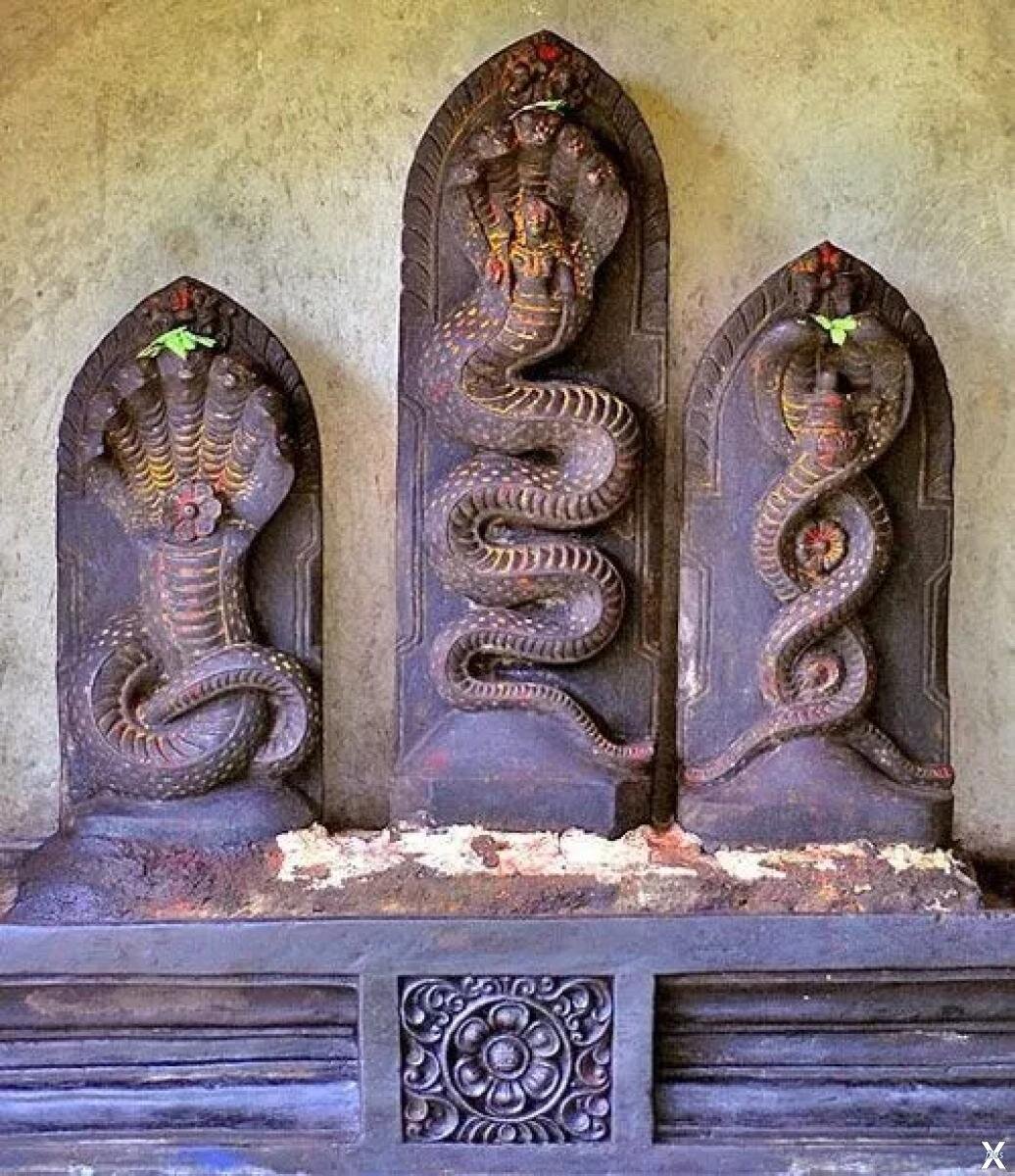Змеиный храм. Храмы нагов Индия. Шеша и Васуки. Храм нагов Таиланд. Статуи нагов Индия.