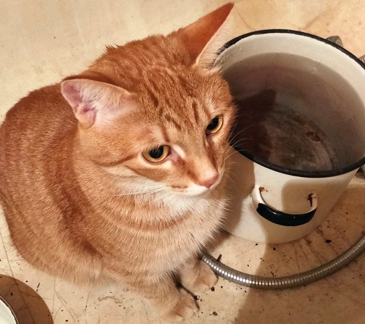 Личное  фото.