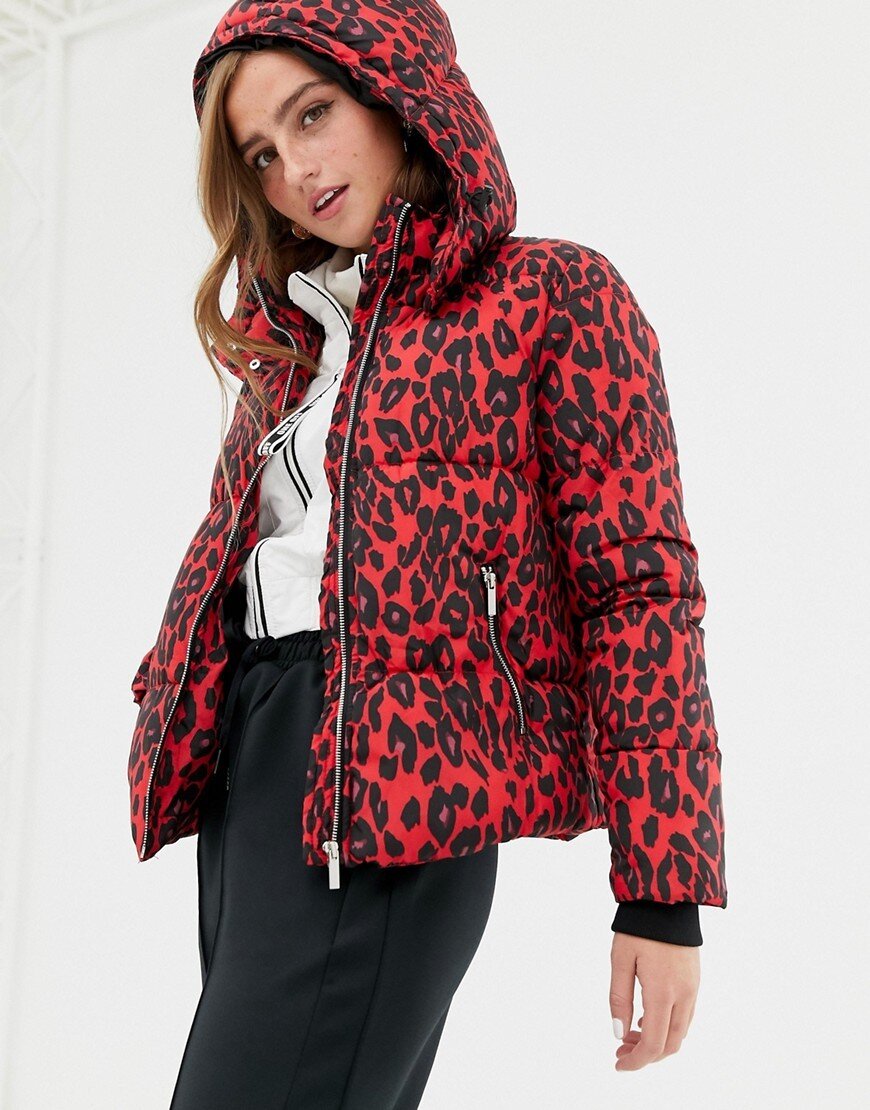 Леопардовый пуховик. Leopard Print Puffer Jacket. Куртка с леопардовым принтом. Красный пуховик с леопардовым принтом. Красная леопардовая куртка.