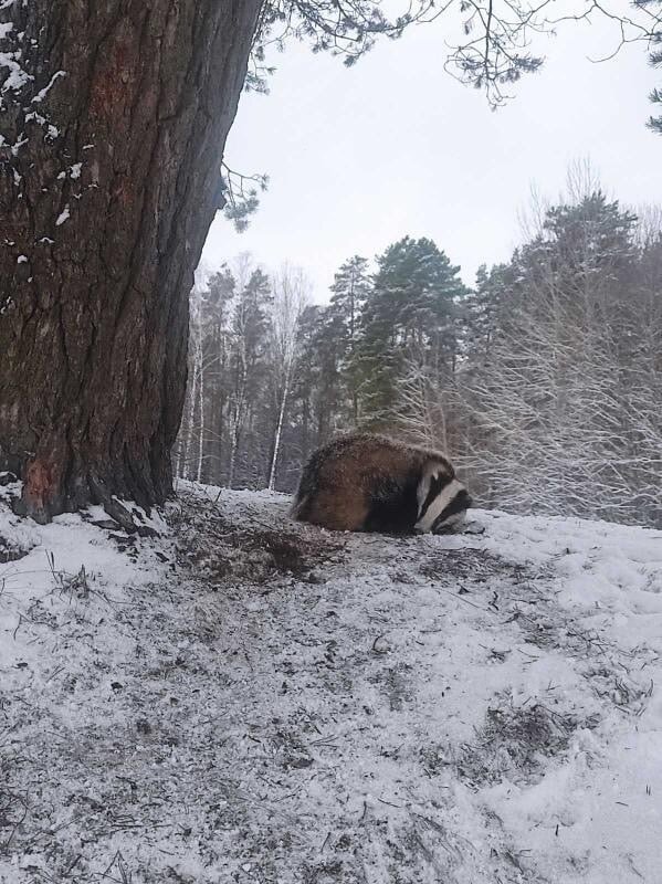 Фото: Витебский облкомитет природных ресурсов и охраны окружающей среды