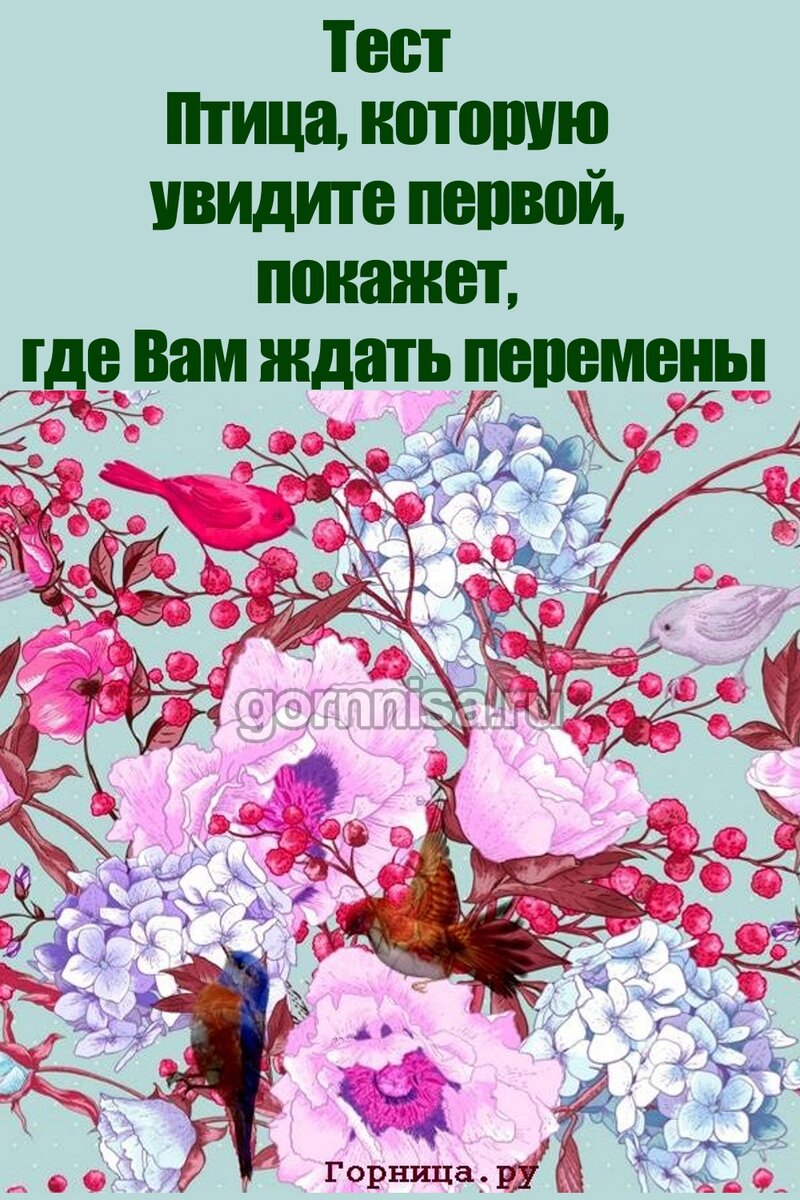    Тест — Птица, которую увидите первой, покажет, где Вам ждать перемены Pavlov A