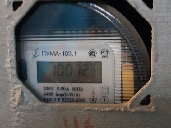     фото: Андрей Давыдов / МК-Урал