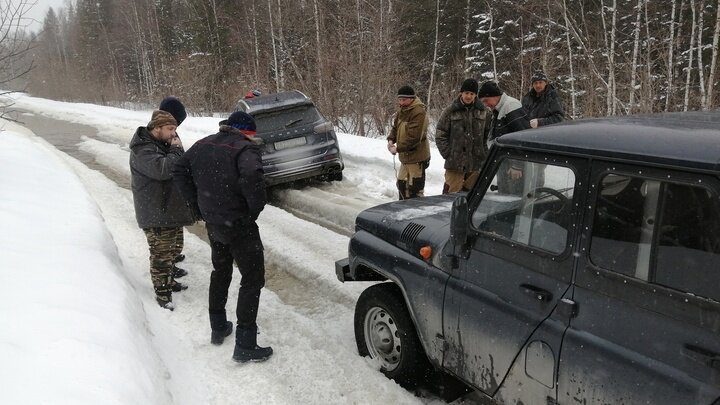 ФОТО: НАЦПАРК ЗЮРАТКУЛЬ/ПРЕДОСТАВЛЕНО САЙТУ ЦАРЬГРАД.