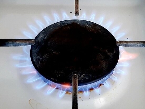     ФОТО: АНДРЕЙ КОВАЛЕВ / "МК В ТОМСКЕ"