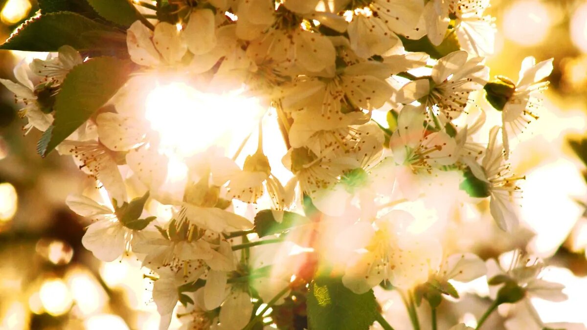 Сила магнитных бурь будет колебаться. Фото: pxhere.com