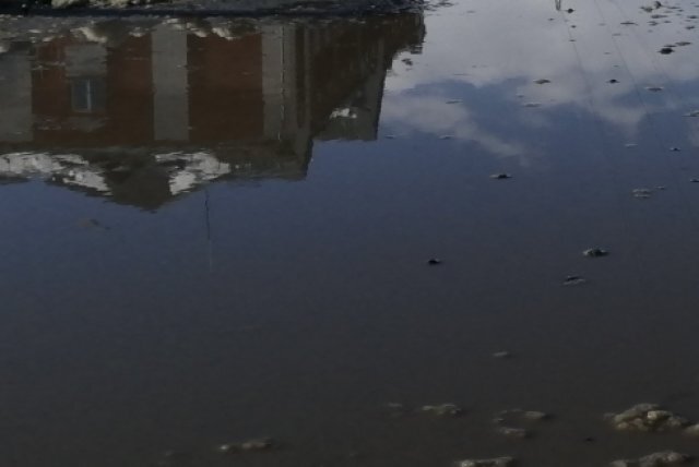 Фото: Оксана Шуман 