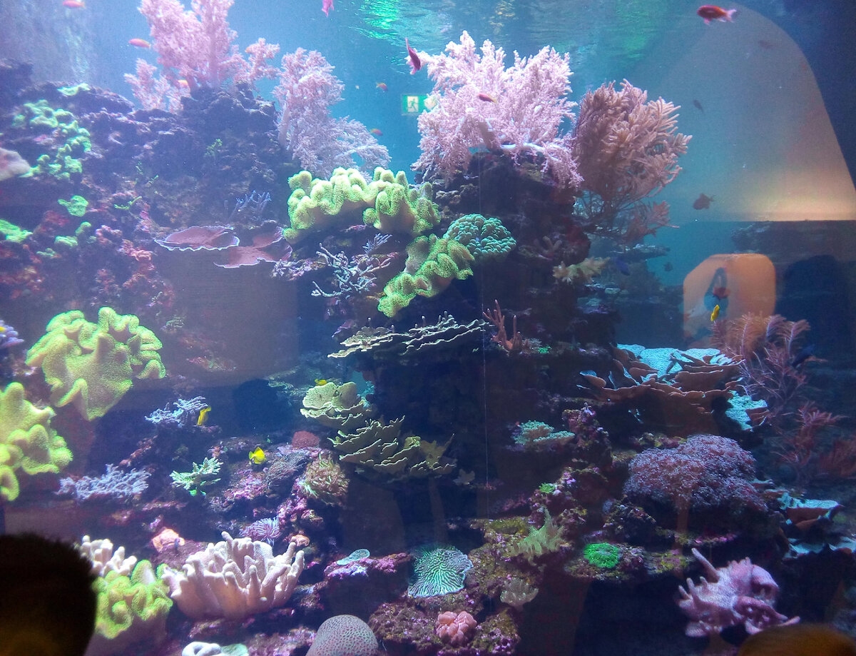 Подводный мир в музее природы