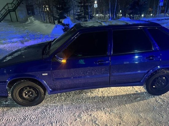     Фото: ГИБДД ЯНАО
