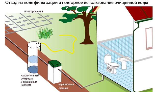 Зачем охранять рыбу: важность сохранения водных ресурсов