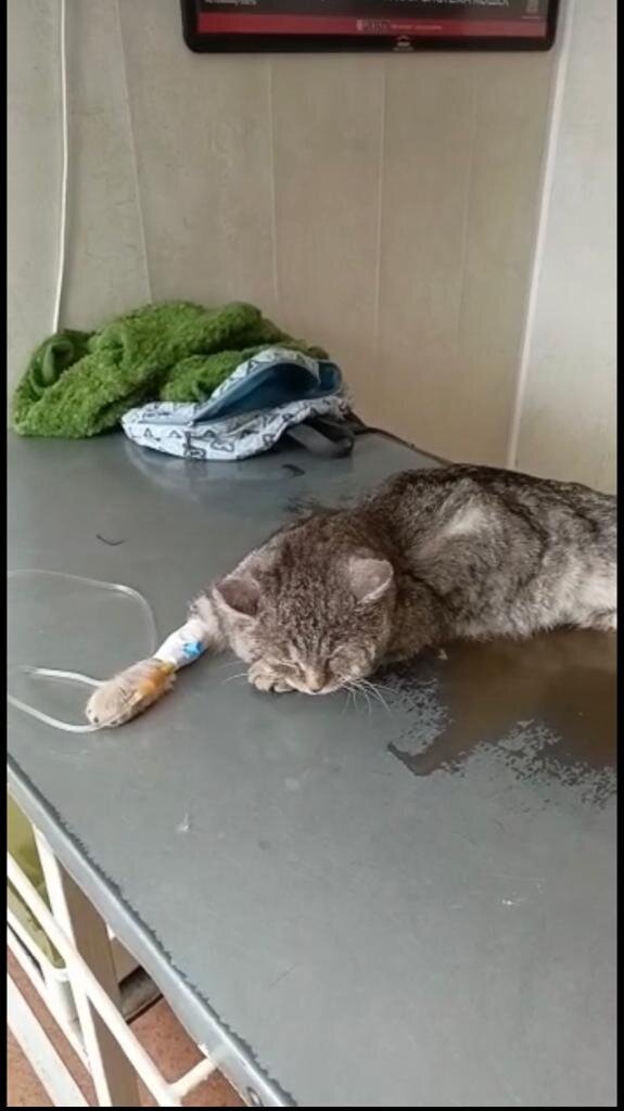 Самый первый прием у врача ..