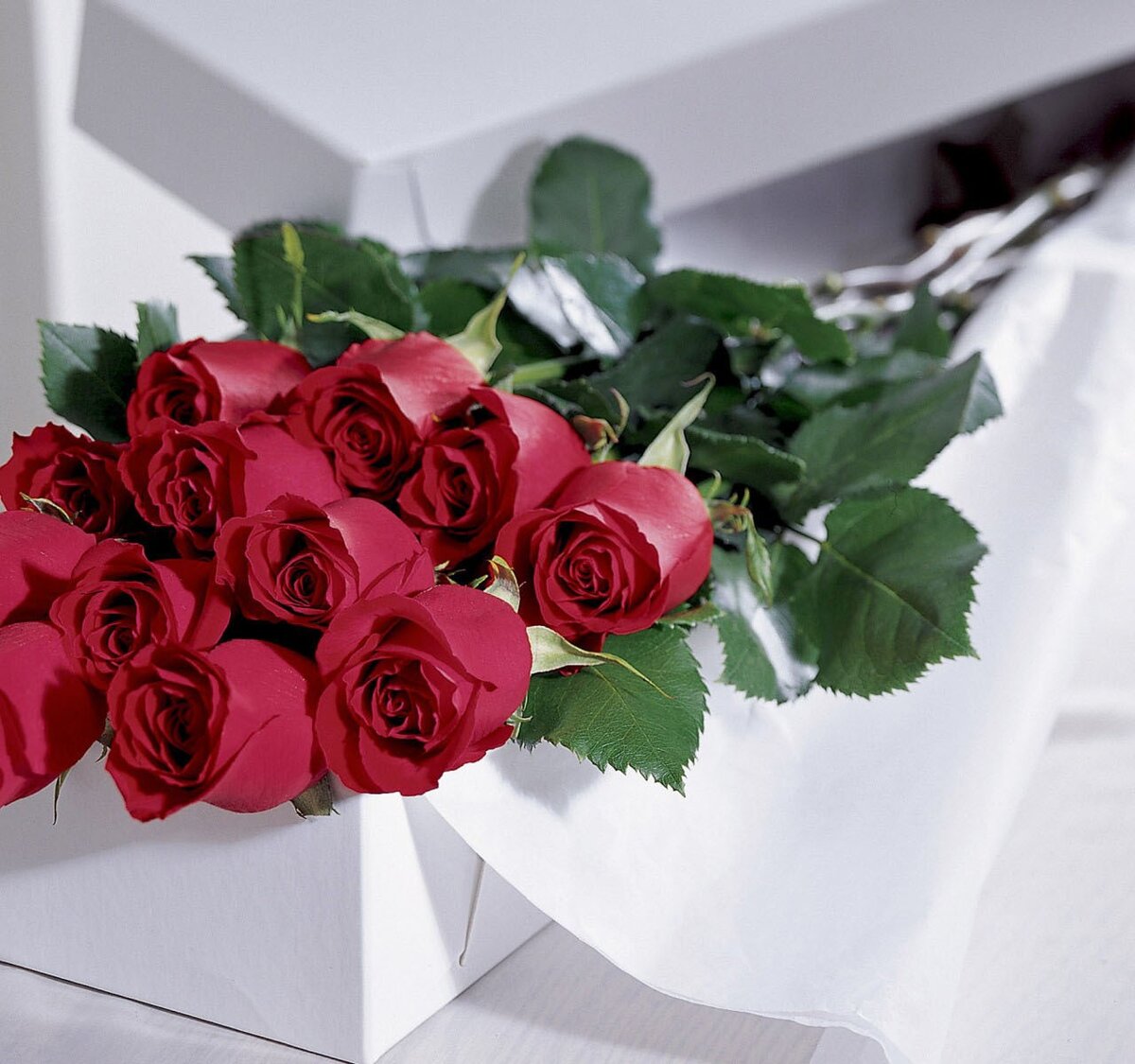 иллюстрация из открытых источников сети нтернет