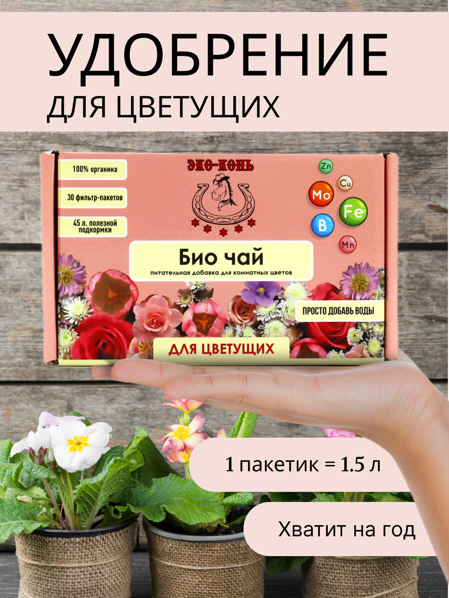 
Какое слово заставляет нежно трепетать сердце любого дачника? Конечно, «навоз»! Любое растение им с радостью полакомится, а затем обязательно отблагодарит хозяина. Но не так-то легко решиться завезти к себе на участок ароматное удобрение. Запах на всю округу — это меньшая из бед. Во-первых, для правильного использования навозу надо дать хорошо перепреть. Во-вторых, в довесок к нему легко получить патогенные бактерии, гельминтов, медведок и другие неприятности. Лично для меня возможные минусы перевесили плюсы, и навоз в чистом виде я не покупаю, зато активно использую различные удобрения на его основе.

В продаже можно найти и гранулы, и водные растворы. Естественно, я не смогла пройти мимо нового варианта — «Биочая для цветущих комнатных растений» от компании «Эко-Конь» на основе конского навоза. Поэтому располагайтесь поудобнее — будем знакомиться!

Биочай для цветущих комнатных растений от компании Эко-Конь на основе конского навоза

Как навоз стал чаем
Питательная добавка «Биочай для цветущих комнатных растений» от компании «Эко-Конь» на 100% состоит из органики, а именно из перепревшего конского навоза. Его родина — конюшня «Ранчо Мушкино», расположенная в Калининградской области. Технологию производства разработали в Институте органических удобрений и торфа во Владимирской области по заказу владельца конюшни Юрия Гладышева. Чем же отличается этот продукт от других форм переработки навоза?

Просто добавь воды
Специальным образом обработанное натуральное сырье расфасовано по водопроницаемым фильтр-пакетам, совсем как привычная чайная заварка. Дачникам остается только опустить этот пакетик в теплую (около +50°С) воду и подождать пару часов. После чего жидкое удобрение полностью готово к использованию. 

Пакетик Биочая от компании Эко-Конь

Один фильтр-пакет рассчитан на 1.5 л воды. В упаковке — 30 штук, то есть 45 л будущей жидкой подкормки! Это очень ценное для меня преимущество. Учитывая небольшие объем и вес, на дачу легко привезти и хранить большой запас удобрения. Сравните хотя бы с несколькими килограммовыми пакетами гранулированного или 5-литровыми бутылками жидкого навоза, которые я покупала раньше.

В коробке - 30 фильтр-пакетов, из которых получается 45 л подкормки

Питательная ценность
Минимум 2 часа «Биочай» должен настаиваться. После мы получаем жидкость, в которой, по данным производителя, содержится:
азота — 1,4%,
фосфора — 0,8%,
калия — 2,6%,
дополнительных элементов (железа, цинка, марганца, молибдена, меди, бора) — 6-8,5%.

Дополнительная информация, указанная на коробке «Биочая для цветущих комнатных растений» от компании «Эко-Конь»

Ради интереса я сравнила эти показатели с теми, которые заявляют изготовители известных марок гранулированного, жидкого и даже натурального конского навоза. Оказалось, что содержание основных и дополнительных элементов не меньше, а порой и больше в 1,5-2 раза относительно других видов удобрений. Это точно должно понравиться растениям!

При такой высокой питательной ценности главное — не переборщить. Поэтому интервалы между подкормками должны быть не менее 10 дней.

Производитель отмечает также следующие преимущества питательной добавки:
она стимулирует развитие корневой системы,
повышает сопротивляемость болезням,
улучшает приживаемость рассады при пересадке,
позволяет увеличить урожай даже в неблагоприятных условиях.

Преимущества «Биочая» от компании «Эко-Конь»

Стоит отметить и безопасность такого вида использования навоза. Им невозможно сжечь корни. При обработке исходного продукта погибают вредители и любая патогенная флора. Медведка — мой страшный сон — в пакетик не поместится)) Профессиональная забота о лошадях делает готовый продукт экологически чистым.

Как, что и когда поливать «Биочаем»
Пока я выясняла все подробности и изучала упаковку, мой «чаек» как раз настоялся — получилась жидкость очень насыщенного цвета. И производитель не обманул: раствор не имеет совершенно никакого запаха. Кстати, и пакетики ничем не пахнут. Поэтому работать с таким удобрением спокойно можно и в домашних условиях. 

Через два часа получаем раствор насыщенного цвета

Завтрак для комнатных растений
Собственно, на упаковке так и написано: «Питательная добавка для комнатных растений». Удобрение и правда очень удобно для использования дома. Без грязи, запаха и сложных манипуляций мы получаем прекрасную подкормку для любых цветущих зеленых питомцев. У меня имеется такой один.

Моя орхидея после года молчания наконец порадовала двойным цветением. Рассчитываю с помощью «Биочая» продлить его и сократить перерыв до следующего. Полила орхидею погружным способом, то есть поставила горшок в раствор удобрения. 

Поливаю орхидею способом замачивания в питательном растворе Биочая

После этой процедуры у меня осталось достаточно много жидкого удобрения. Неужели придется его вылить? Моя орхидея абсолютно здорова, поэтому я решила использовать подкормку для других цветов. Но у меня больше нет домашних растений...

Обед для садовых цветов
Ничего страшного! За такое питание скажут спасибо любые цветущие однолетники. Какой цветок никогда не откажется хорошо покушать? Конечно, петуния! К августу она уже порядком истощила плодородный грунт, который я приготовила ей в мае. Чтобы продлить цветение и дать толчок к новому росту, полила ее подкормкой.

Петунии никогда не откажутся от дополнительного питания

Из однолетников у меня еще есть бальзамины. Они, конечно, не очень прожорливые, и поэтому я их почти не кормила в течение сезона. Как результат — скудное цветение и не слишком пышные растения. Поэтому щедрой рукой наливаю им «Биочая».

Бальзамины требуют подкормки

Состав этого удобрения подходит и для подкормок многолетних декоративных растений. Ему будут рады розы, клематисы, флоксы и другие цветы. Однако нужно учитывать, что подкормок с высоким содержанием азота во второй половине лета не проводят: они могут спровоцировать бурный рост, а в это время растения уже должны завершать ежегодный цикл и готовиться к зимовке. Зато в мае следующего года у меня уже не будет болеть голова, какой органикой подкормить цветы: все мои клумбы и розарий от души напьются «Биочая». 

Ужин для овощей
Но и в конце лета на даче подкормка нам еще послужит. Продолжают цвести (а главное — плодоносить) огурцы и кабачки. Им самое время добавить азота, калия, фосфора и микроэлементов для обильного урожая и долгого плодоношения. 

В августе кабачки еще на пике своего плодоношения и нуждаются в подкормках

Тем более что мои огурцы прямо-таки кричат о том, что им не хватает калия. Об этом говорит грушевидная форма плодов.

Грушевидная форма огурцов говорит о недостатке калия

Пробегая мимо грядки с перцами, решила полить и их, пусть быстрее созревают.

Теплый сезон заканчивается - перцам надо скорее созревать

Жидкую подкормку для огорода готовлю в той же пропорции (1 пакетик — на 1.5 л воды), но беру емкость побольше — трехлитровую банку. Соответственно, кладу в нее 2 пакетика.

Два пакетика Биочая на трехлитровую банку

Можно развести сразу в лейке. Главное — не забыть, что температура воды, которой заливают пакетики, должна быть около +50°С. 

«Биочаю» — зеленый свет
Никогда еще работа с удобрением на основе навоза не была такой легкой и приятной! Заварить и полить — намного проще, чем насыпать гранулы под перекопку или же настаивать их двое суток в воде. Жидкий навоз мало того, что пахнет, так еще и откровенно тяжелый. Совсем не хочется тащить из магазина 5 л раствора, а потом тягать эту бутыль туда-сюда, чтобы добиться нужной концентрации. 

Намного легче купить легкие и удобные пакетики. А там хочешь — комнатные растения поливай, хочешь — цветы корми, хочешь — огород удобряй. Кстати, использованные пакетики я не выбросила (зачем добру пропадать?), а раскидала их содержимое под огурцами.

Биочай для цветущих комнатных растений от компании Эко-Конь очень прост в использовании

От опыта использования этого удобрения я в восторге! Конечно, еще нужно будет оценить эффективность, но, судя по составу, результат не заставит себя ждать. А уже весной можно будет провести полноценные испытания и на многолетних растениях.


Источник: https://7dach.ru/Innova/chay-iz-konskogo-navoza-vashi-cvety-probovali-takoe-ispytyvayu-novuyu-formu-podkormki-biochay-eko-kon-294088.html