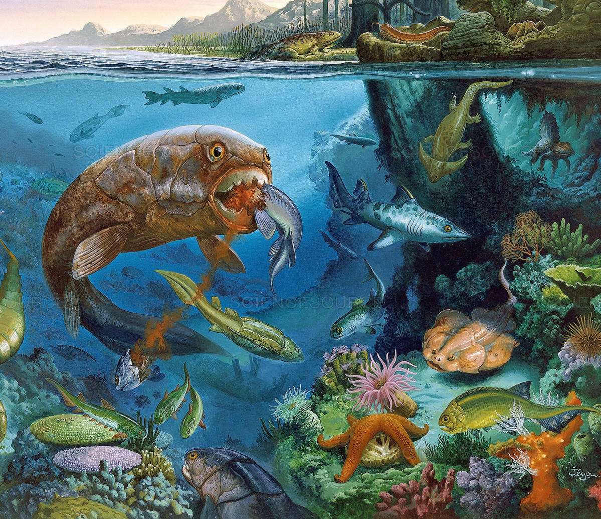 Разнообразие живых организмов в океане. Палеозойская Эра Девонский. Девонский период палеозойской эры. Силурийский период палеозойской эры. Палеозойская Эра Девон.