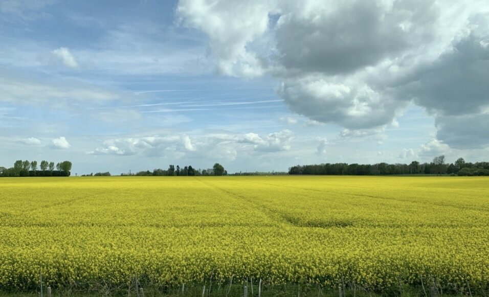Красоты Нормандии. Фото из личного архива 2019 г