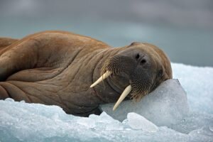    Фото: placepic.ru Юлия Карягина