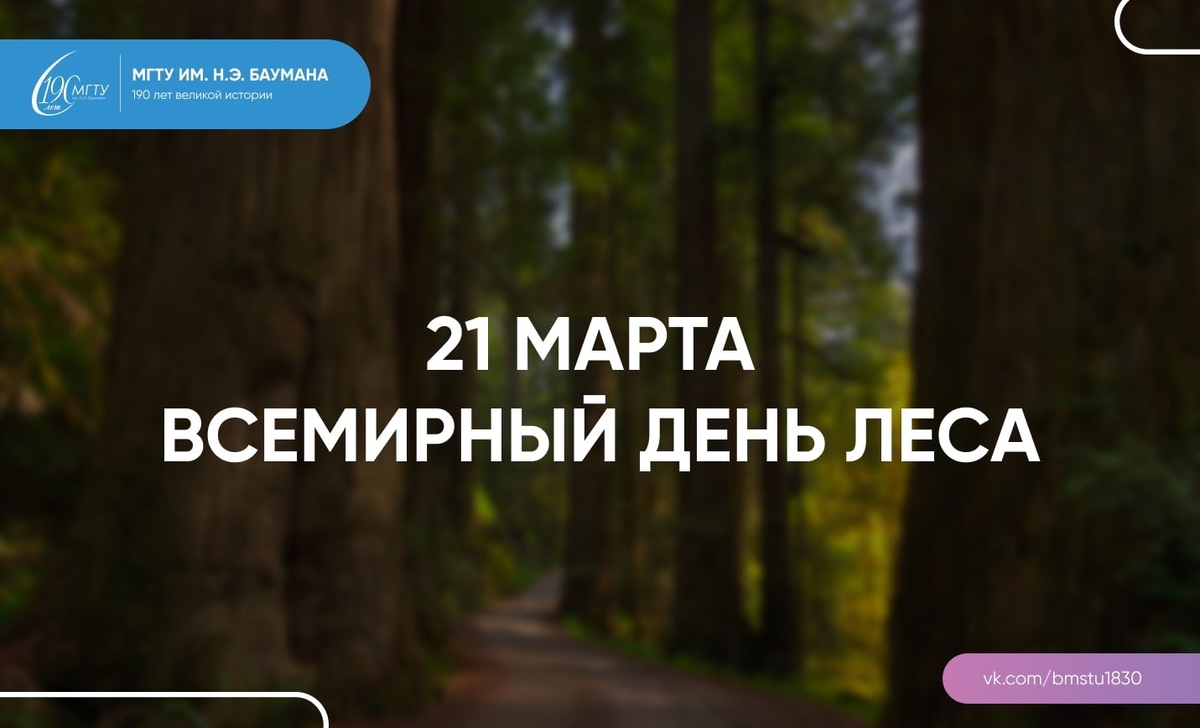 21 марта - Международный день леса. Материалы для воспитателей . 2023 Подслушано