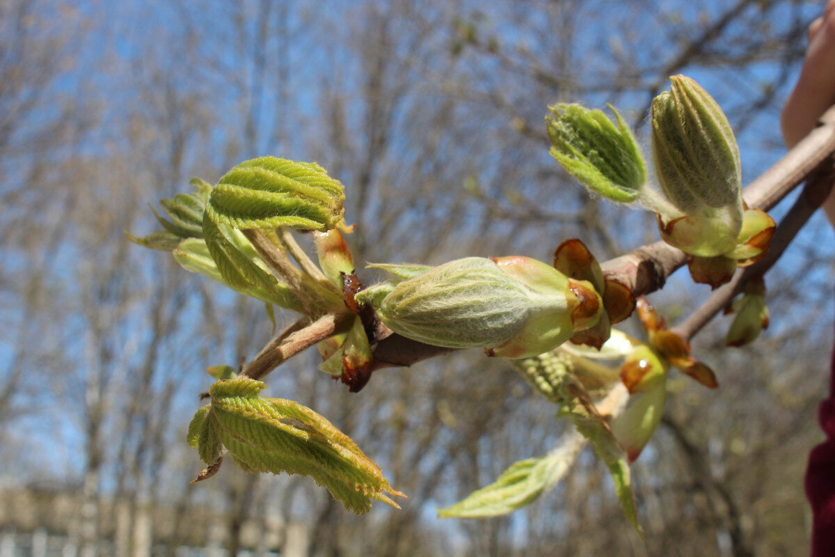   ГТРК "Ставрополье"