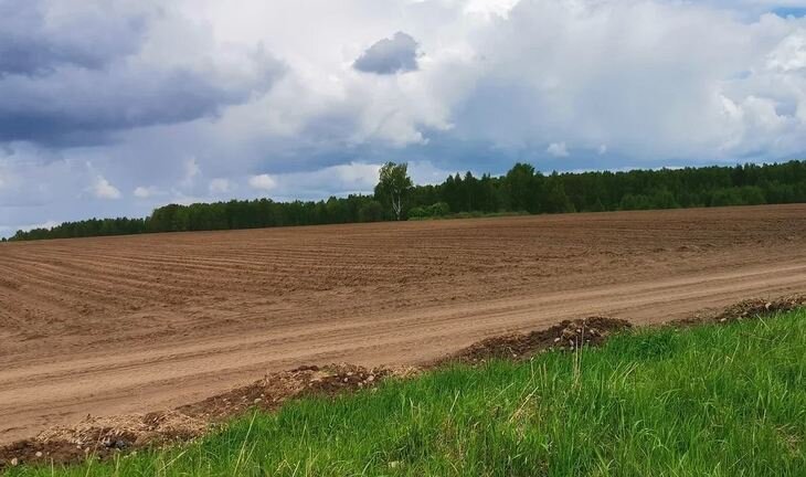    Россия и Китай обменяются опытом по вопросам агрострахования