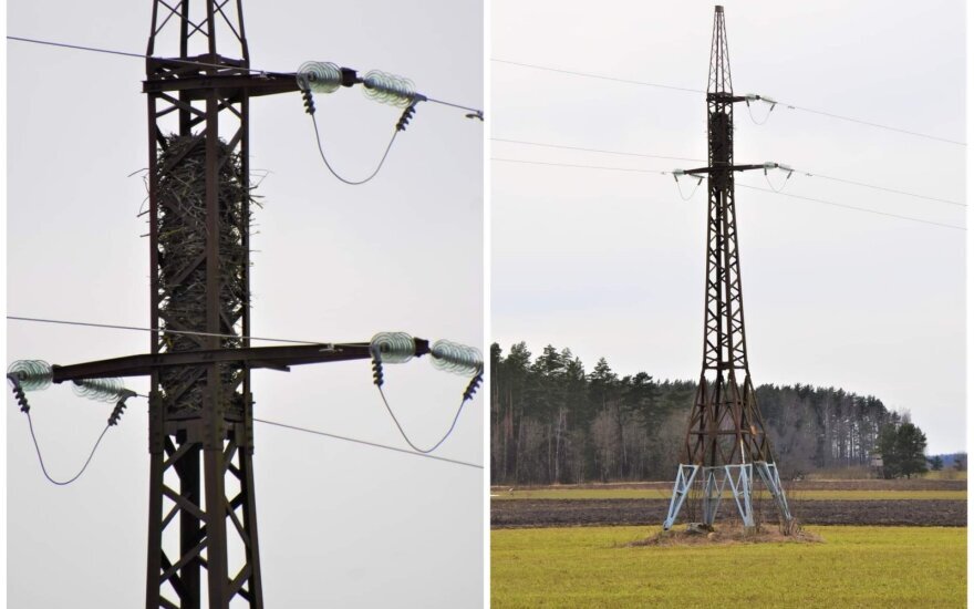 Фото: Lizdas D. Makavičiaus