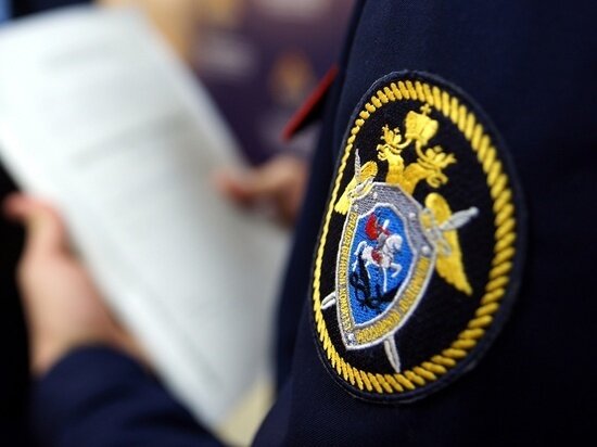     Фото: пресс-служба СУ СК по Омской области