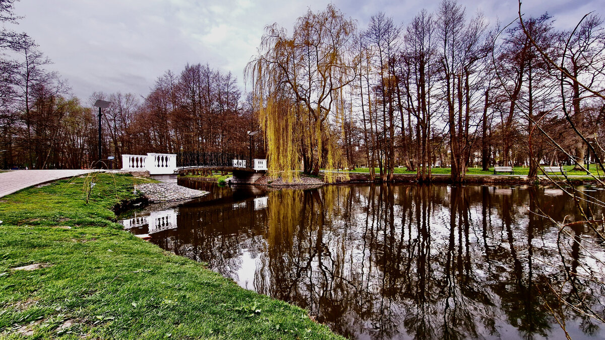 Тортилин пруд в парке. Фото: Вячеслав Волков