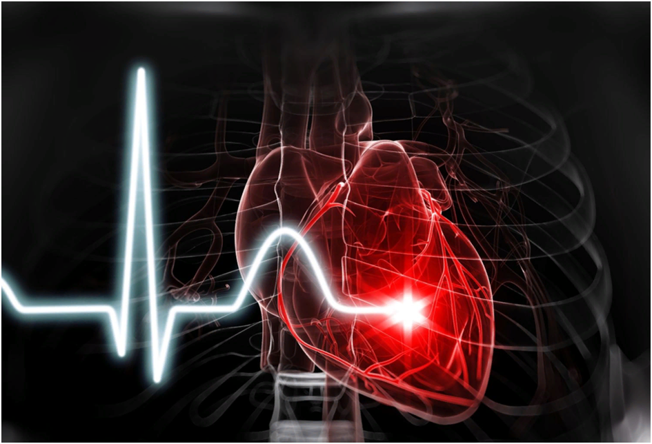 Кардиограмма сердца. ЭКГ сердца. Электрический Импульс сердца.